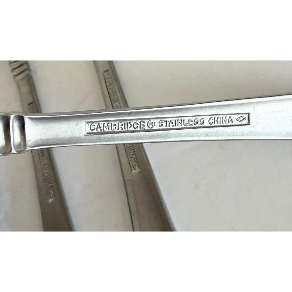 Set of 5 Cambridge Codie Sand Frost Stainless Teaspoons Flatware  6